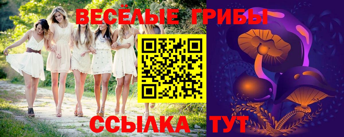 Псилоцибиновые грибы прущие грибы  Вход с VPN  Элиста 